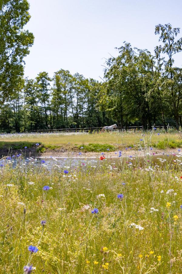 Equilodge 't Blommeke - Reconnect With Nature Villa Brugge
