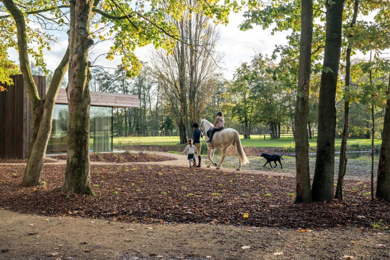 Equilodge 't Blommeke - Reconnect With Nature * Brugge